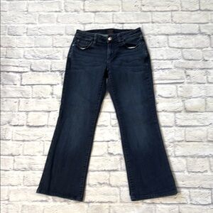 Ann Taylor Curvy Bootcut Jeans Low Rise Dark Wash Blue Denim Size 4 Short